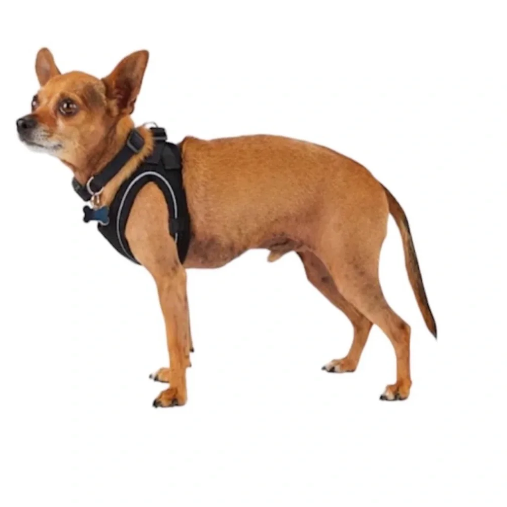 YOULY Black Reflective Mesh Dog Harness, XX-Small/X-Small